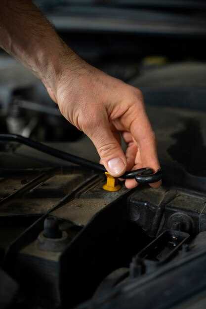 Draining the Old Oil and Replacing the Oil Filter